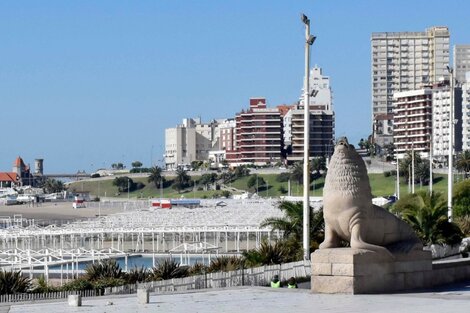 Temporada de verano en Mar del Plata: "tenemos que ser creativos para poder mantener el distanciamiento en las playas"