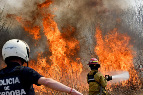 Diputados aprobó la ley del fuego para proteger el ecosistema de los incendios