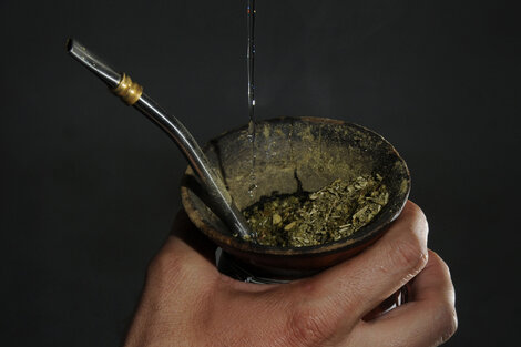 La yerba mate es el producto que más aumentó en los últimos 13 años