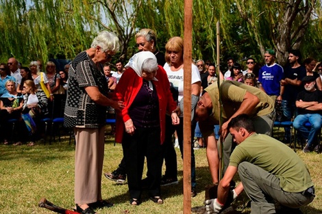 “Plantamos Memoria”: convocan a plantar 30 mil árboles el 24 de marzo