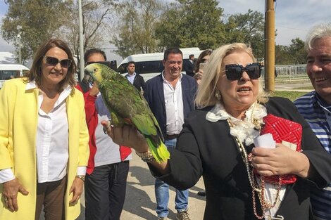 La feminista menos pensada: Lilita Carrió