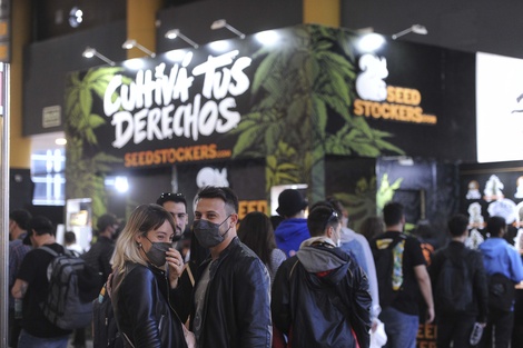 Marihuana y tratamientos veterinarios: la novedad de la Expo Cannabis