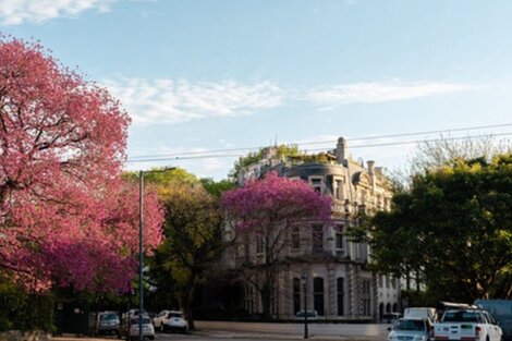 Clima en Buenos Aires: el pronóstico para este domingo 26 de diciembre