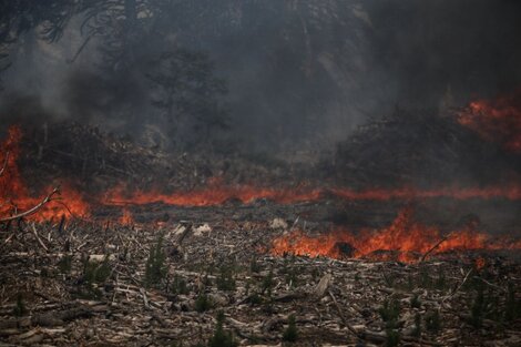 El fuego avanza en varias localidades del sur argentino