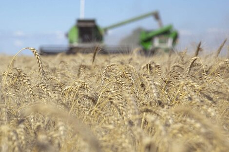 El Gobierno acordó la creación del fideicomiso de trigo para frenar la suba de precios