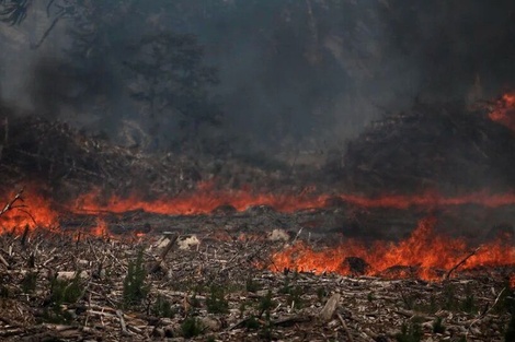 Sequías, incendios y cambio climático: declaran la emergencia ígnea en todo el país