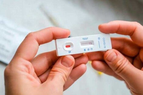 El Gobierno aprobó el uso del auto-test de coronavirus: cómo funcionan y dónde conseguirlos