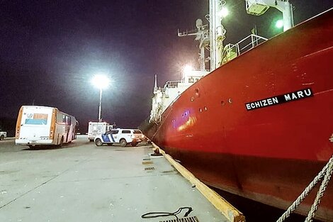 Coronavirus en Argentina: se detectaron 57 casos positivos en un barco pesquero amarrado en Ushuaia