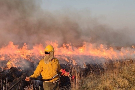 Incendios en Corrientes: el fuego en la zona de los Esteros del Iberá se habría originado por la chispa de un tractor