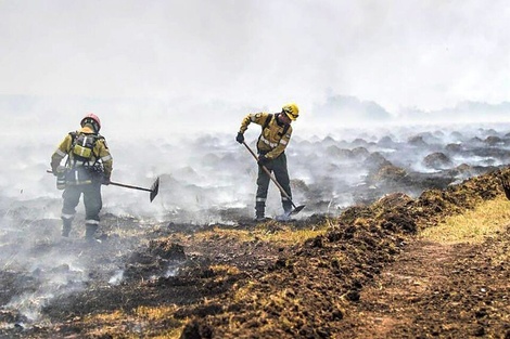 El Gobierno efectivizó la transferencia de más de $4.000 millones de pesos al Fondo Nacional de Manejo del Fuego