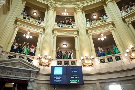 El Senado aprobó la legalización del aborto