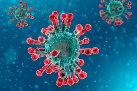 Alerta por una nueva variante de coronavirus con múltiples mutaciones