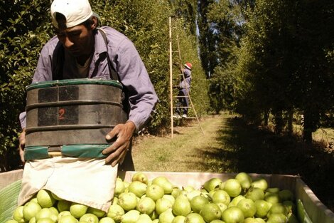 El Gobierno eliminó las retenciones a las exportaciones de productos regionales