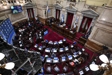 El Senado comienza a debatir en comisión el Plan de los 1.000 Días