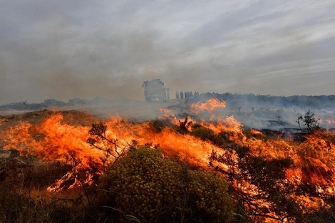 Se reactivó el incendio en Puerto Madryn y el área afectada ya supera las 60 mil hectáreas