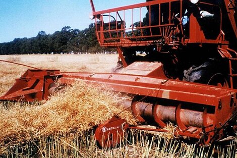 Fernando Borroni: “El campo no puede arrogarse el derecho a jugar con la comida de nuestras mesas”