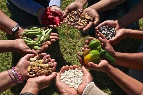 Rafael Klejzer y el pedido de una empresa nacional de alimentos: "Hay que fortalecer las economías locales"