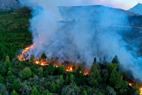 Continúan los incendios en Chubut y Río Negro y hay un muerto, siete heridos y 200 familias evacuadas