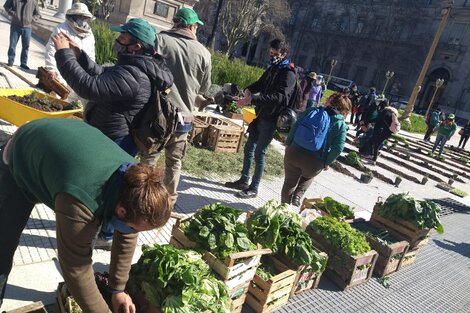 Verdurazo y Chacra Agroecológica en Plaza de Mayo por la ley de acceso a la tierra