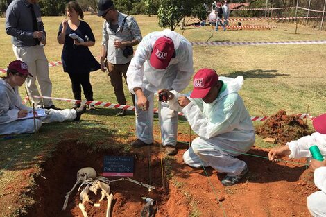 Piden que familiares se acerquen a identificar 600 cuerpos NN de la última dictadura