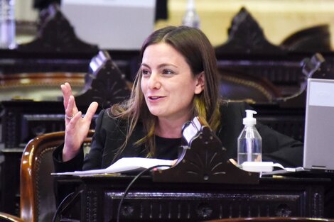 Vanesa Siley: “La Reforma Judicial fue pedida por la gente votando al Frente de todos”