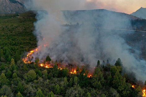 El Bolsón: combaten un incendio fuera de control que ya afectó a 6.500 hectáreas