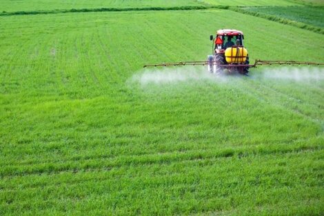 La Pampa: prohíben la fumigación con agrotóxicos y plaguicidas