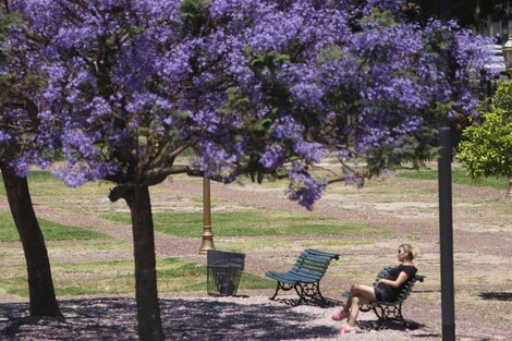 Descanso y turismo: así es el cronograma de feriados para 2022