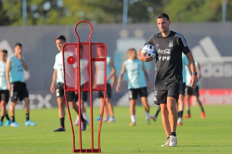 La Selección Argentina buscará mantener el invicto ante Colombia: horario del partido y formaciones