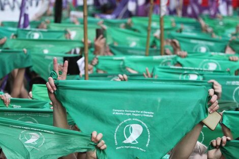 Aborto en Chaco: "La cautelar no declara la inconstitucionalidad"