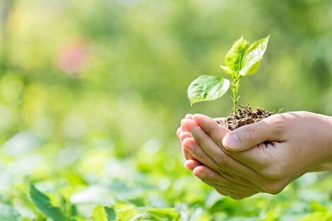 Humor: Cómo festejar el Día Mundial del Medio Ambiente