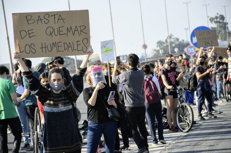 Humor: Anastasia Cuevas Cuevas contra los ecologistas