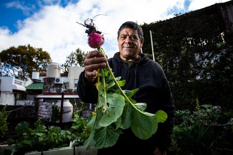 Carlos Briganti, "El reciclador": "Cabandié tiene mi libro y una huerta en la terraza"