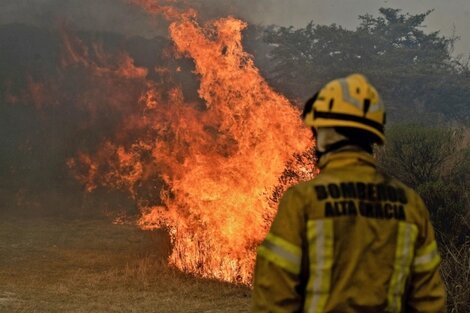 Incendios en Córdoba: "faltan políticas de prevención y de persecución a quienes generan los incendios