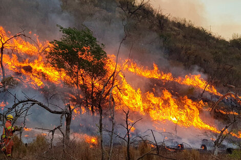 Incendio en Córdoba: detuvieron a dos personas por iniciar el fuego en San Marcos Sierras