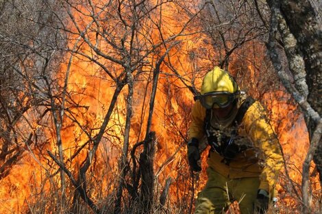 Preocupación: hay siete provincias afectadas por incendios forestales