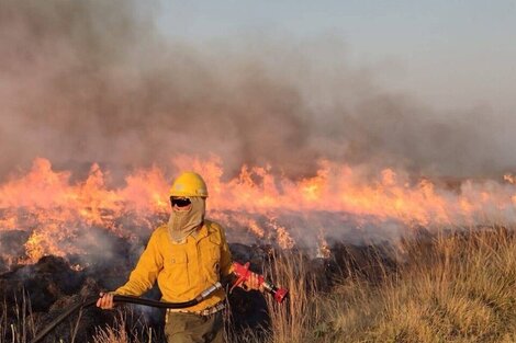 Sergio Federovisky reconoció errores por los incendios en Corrientes: "El cambio climático llegó"