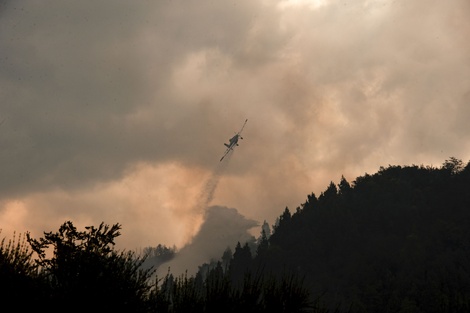 Incendios en el país: refuerzan las tareas ante la ola de calor