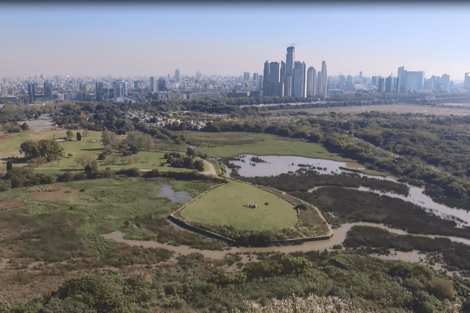 Más cemento, menos verde: así es el barrio de lujo en la Costanera Sur que debate la Legislatura