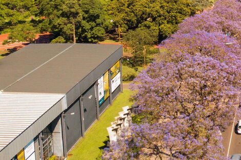 Furor por el jacarandá: los 10 lugares para ver la ciudad teñida de violeta