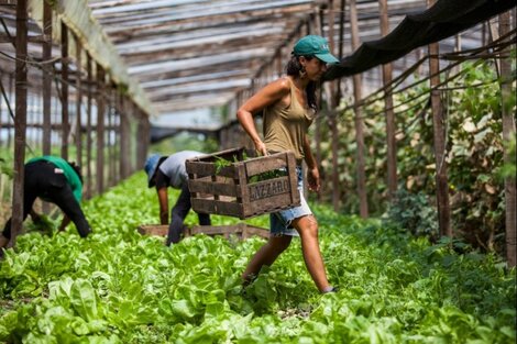 Verdurazo y audiencia en el Congreso por la ley de Acceso a la Tierra