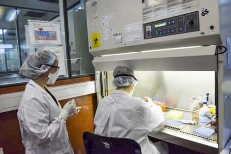Coronavirus: detectaron cuatro casos de dos nuevas cepas de Brasil