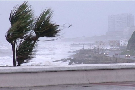 Temporal en Mar del Plata: suspendieron las clases por las condiciones climáticas