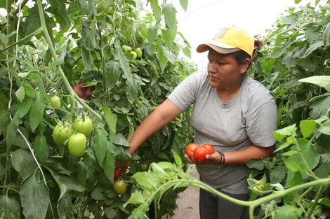 Sólo tres de cada diez mujeres campesinas de América Latina tienen título de propiedad sobre la tierra en donde trabajan