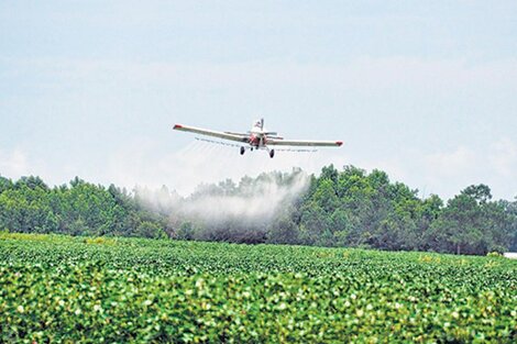 Se extiende la prohibición de fumigar en territorio bonaerense