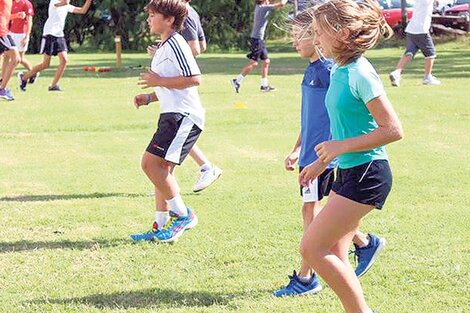 Jubilados: cinco ejercicios físicos sencillos para hacer en casa