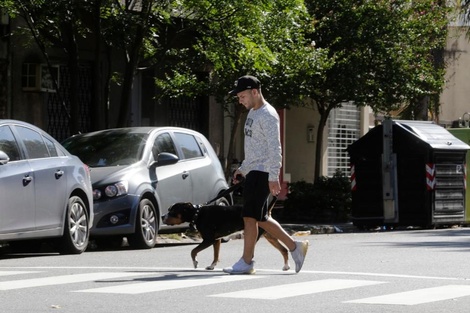 Importante: Paseo de perros