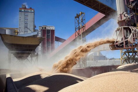 Pablo Paillole, director de Federación Agraria: “Hay que terminar con la evasión de las multinacionales exportadoras”