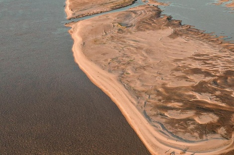 Por la Bajante histórica del rio Paraná peligran las poblaciones de peces