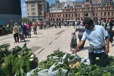 Alimentazo de la UTT en Constitución